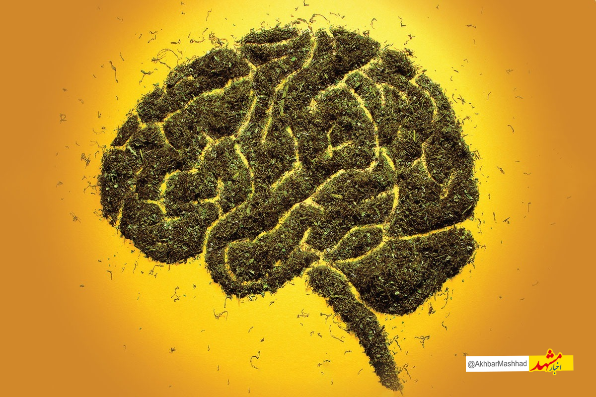 image_2025-10-29_16-01-41