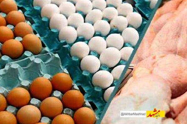 توزیع تخم‌مرغ، گوشت وارداتی و برنج با قیمت مصوب در مشهد