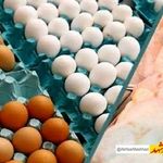 توزیع تخم‌مرغ، گوشت وارداتی و برنج با قیمت مصوب در مشهد