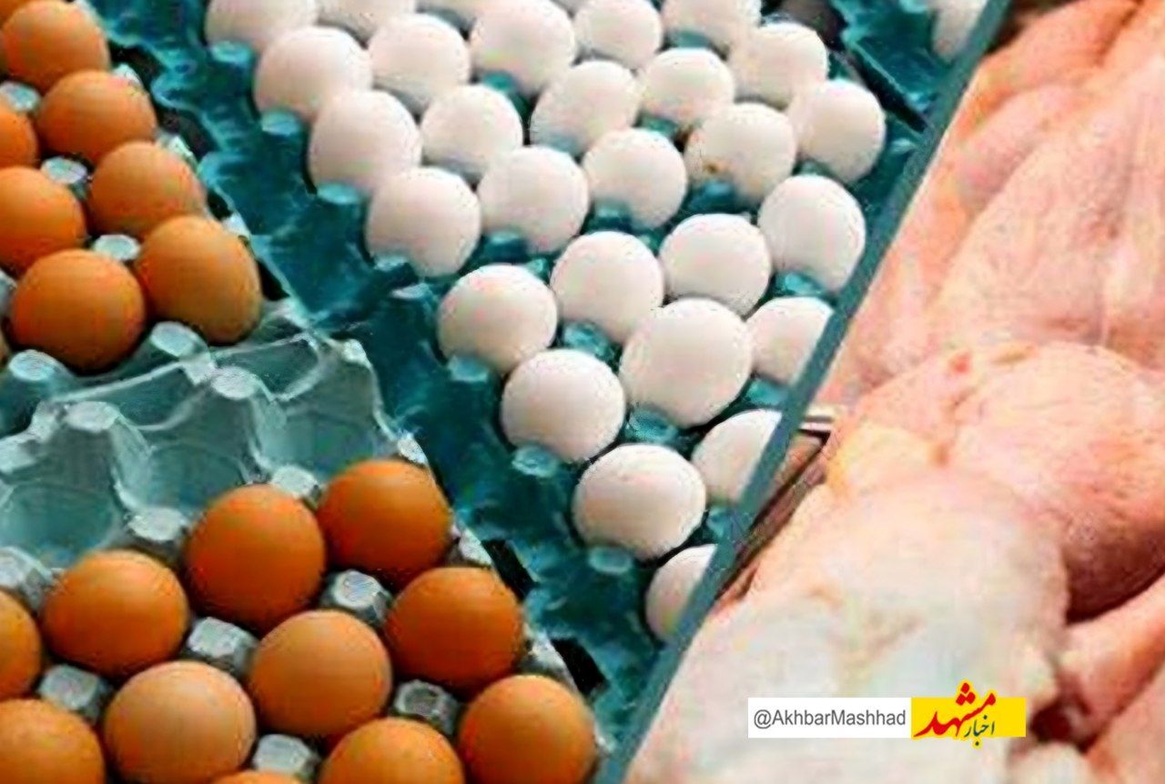 توزیع تخم‌مرغ، گوشت وارداتی و برنج با قیمت مصوب در مشهد