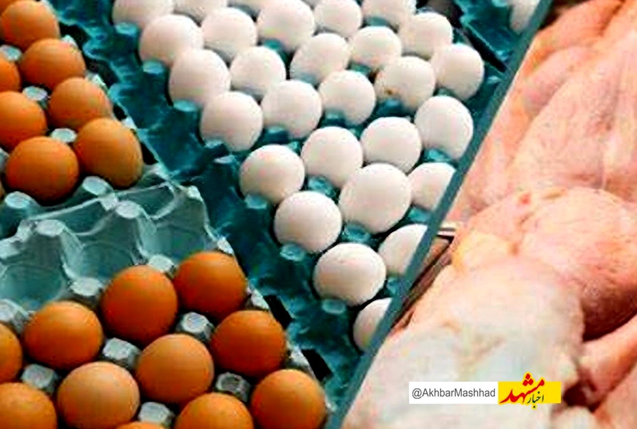 توزیع تخم‌مرغ، گوشت وارداتی و برنج با قیمت مصوب در مشهد