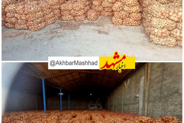 کشف انبار ۱۱۰۰ تُنی پیاز احتکارشده در مشهد