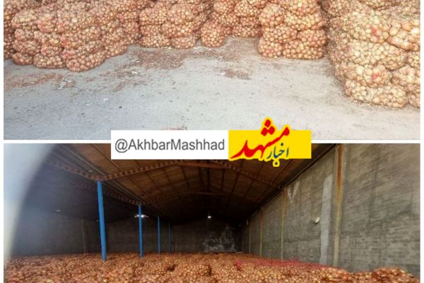 کشف انبار ۱۱۰۰ تُنی پیاز احتکارشده در مشهد