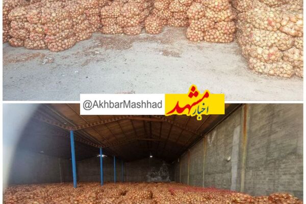 کشف انبار ۱۱۰۰ تُنی پیاز احتکارشده در مشهد