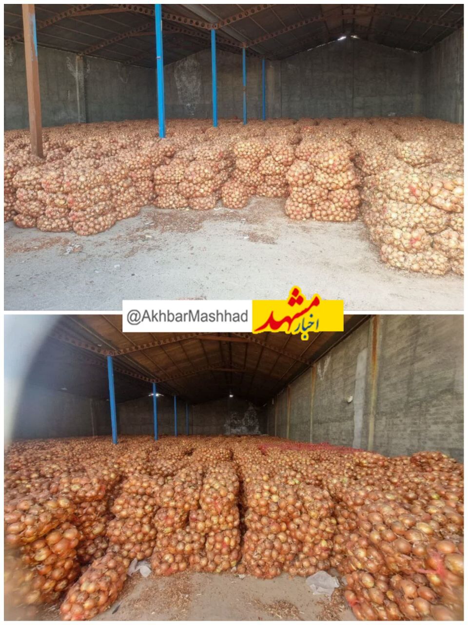 کشف انبار ۱۱۰۰ تُنی پیاز احتکارشده در مشهد
