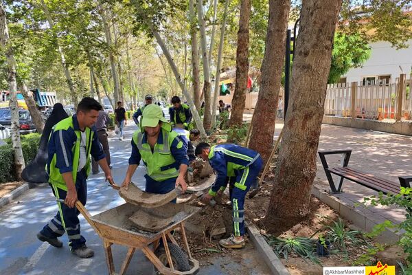 تلاش بی‌وقفه مدیریت شهری مشهد برای سبز نگه‌داشتن شهر قابل تقدیر است/استفاده از منابع آبی پایدار برای آبیاری فضای سبز 
 