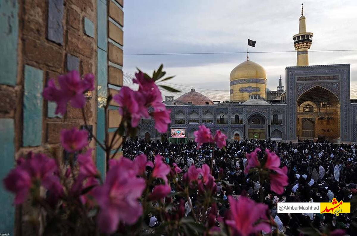 مشهد غرق در شادی میلاد ابن‌الرضا(ع) است