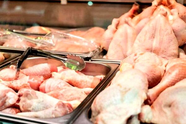 بررسی قیمت گوشت و مرغ در مشهد/ افزایش شدید قیمت قطعات مرغ