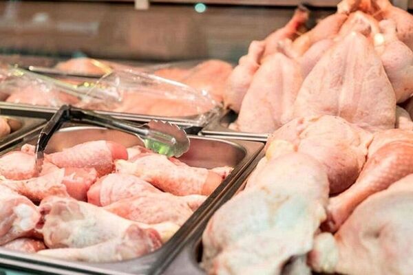 بررسی قیمت گوشت و مرغ در مشهد/ افزایش شدید قیمت قطعات مرغ