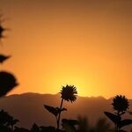 پیش‌بینی هواشناسی مشهد و خراسان رضوی