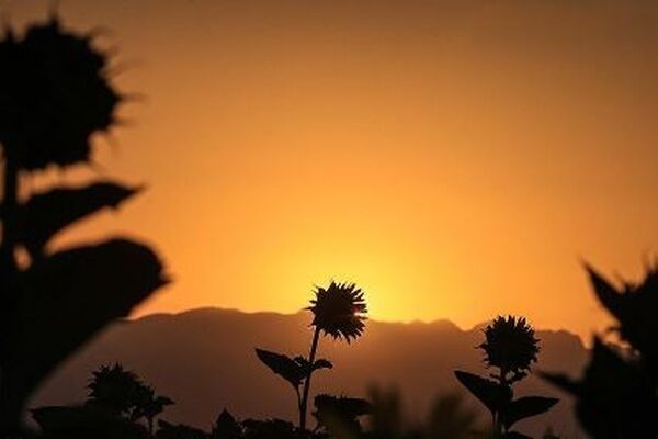 پیش‌بینی هواشناسی مشهد و خراسان رضوی
