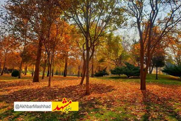 روند افزایش دما در خراسان رضوی آغاز شد