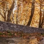 تعطیلی تفرجگاه‌های ۴ شهرستان خراسان رضوی تا پایان یکشنبه 