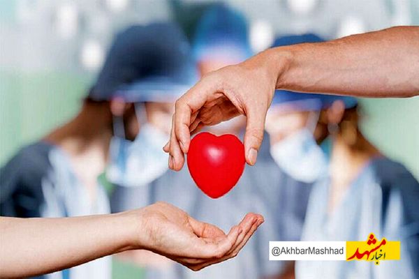 بانوی مرگ مغزی مشهدی جان ۶ بیمار نیازمند عضو را نجات داد