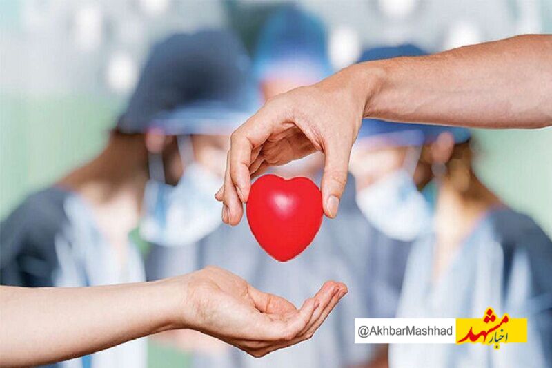 بانوی مرگ مغزی مشهدی جان ۶ بیمار نیازمند عضو را نجات داد