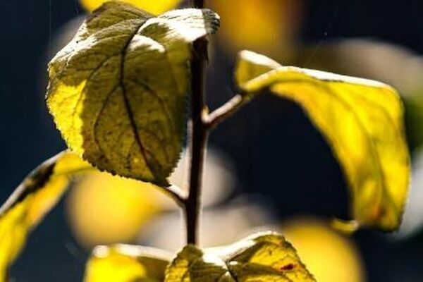 پیش‌بینی هواشناسی مشهد و خراسان رضوی