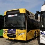 سرویس‌دهی فوق‌العاده ۱۱۰۰ دستگاه اتوبوس در مشهد برای شب‌های قدر ۱۴۰۴ | خدمت‌رسانی خطوط منتهی به حرم امام‌رضا(ع) رایگان است