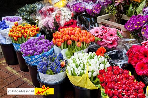 آغاز طرح نظارتی بر بازار گل در آستانه روز مادر | اعلام نرخ مجاز انوع گل در بازار مشهد