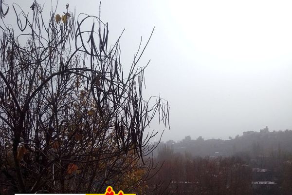 تعطیلی مراکز آموزشی در نوبت عصر تا پایان امروز در مشهد مقدس، نواحی هفت گانه، تبادکان، احمد آباد و رضویه/ تعطیلی کلیه فعالیت های ورزشی در محیط های باز و بسته در نوبت عصر
