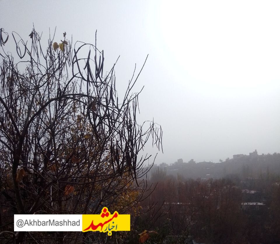 تعطیلی مراکز آموزشی در نوبت عصر تا پایان امروز در مشهد مقدس، نواحی هفت گانه، تبادکان، احمد آباد و رضویه/ تعطیلی کلیه فعالیت های ورزشی در محیط های باز و بسته در نوبت عصر
