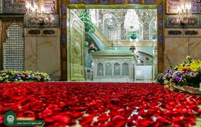 بررسی موجودی و قیمت بلیت هواپیما در سالروز ولادت امام رضا (ع) به مشهد از مراکز استان‌ها (۹ اردیبهشت ۱۴۰۵)