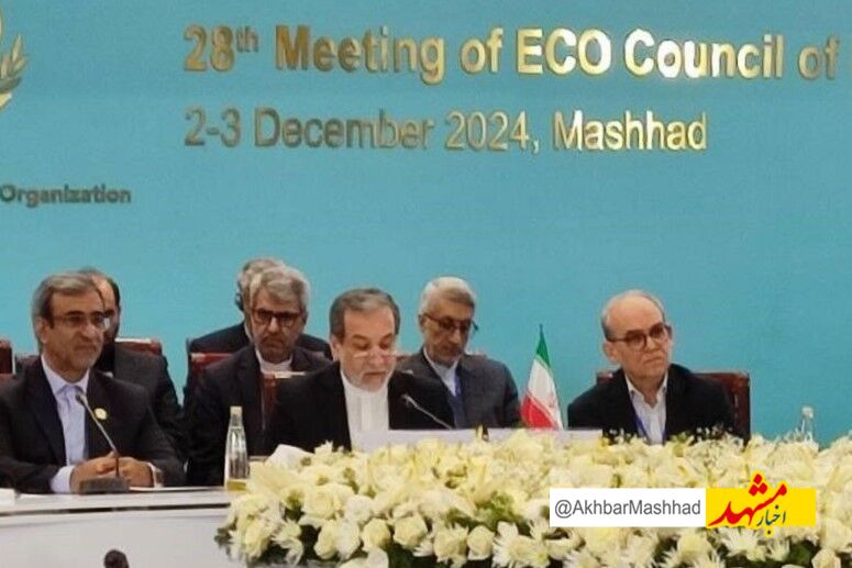 عراقچی بر گسترش همکاری‌های اقتصادی کشورهای عضو اکو تاکید کرد