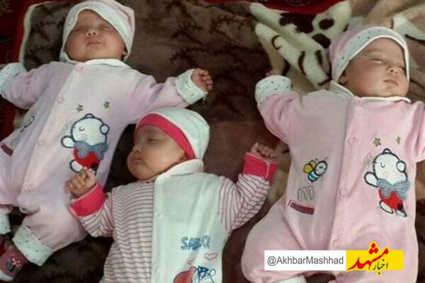 ۱۷ میلیارد تومان حمایت ماهانه بهزیستی از چندقلوهای خراسان رضوی