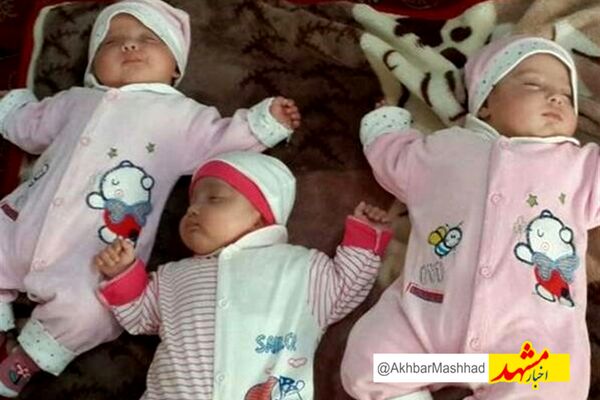 ۱۷ میلیارد تومان حمایت ماهانه بهزیستی از چندقلوهای خراسان رضوی