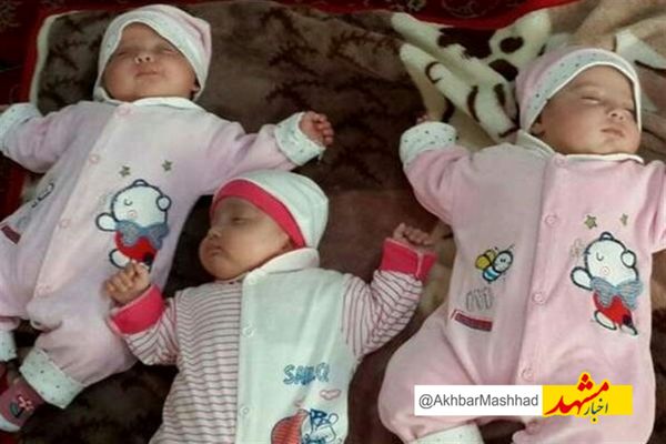 ۱۷ میلیارد تومان حمایت ماهانه بهزیستی از چندقلوهای خراسان رضوی