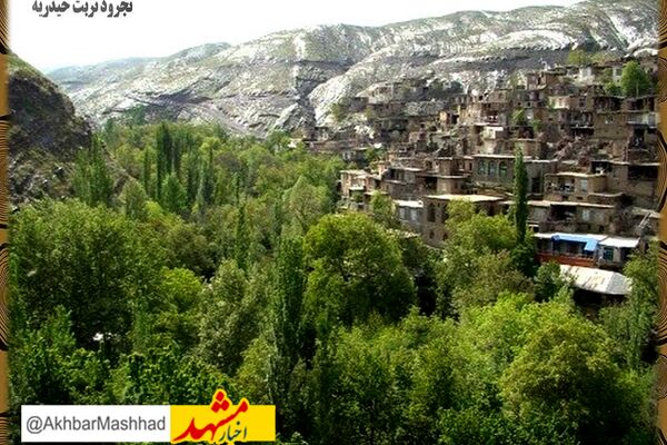 48 خانوار روستایی شهرستان تربت حیدریه از خدمات شبکه ملی اطلاعات بهره مند شدند