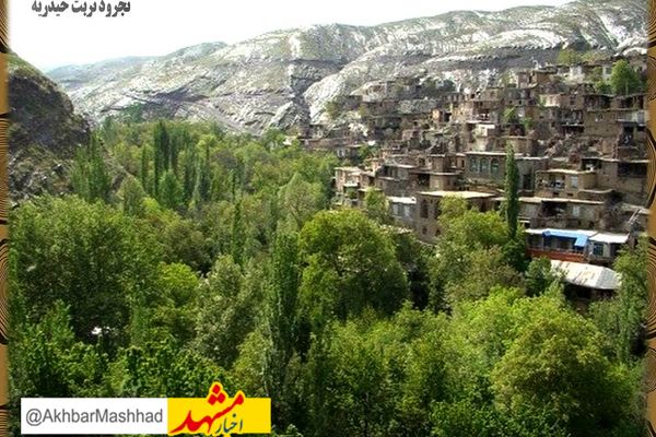 48 خانوار روستایی شهرستان تربت حیدریه از خدمات شبکه ملی اطلاعات بهره مند شدند