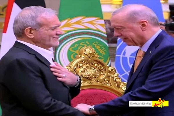 حواشی یک تصویر؛ چرا احترام گذاشتن پزشکیان به اردوغان جنجال‌ساز شد؟