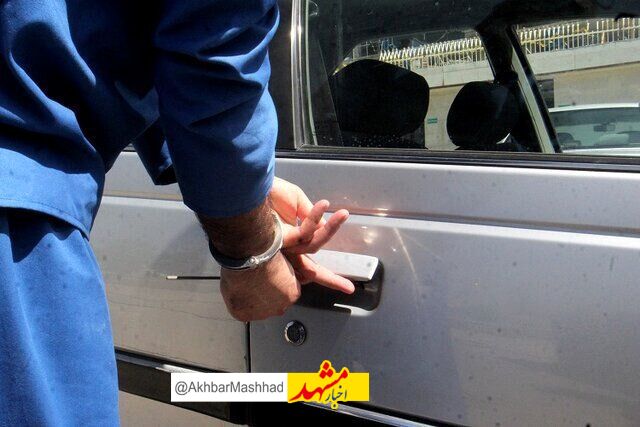 ردپای«خر» در باند بزرگ سرقت!