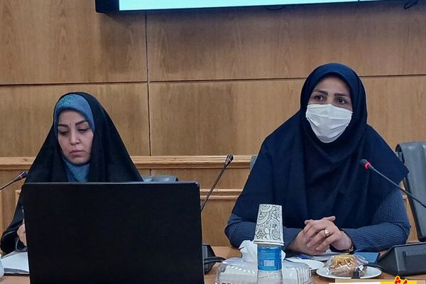 حامد:صنایع دستی بهترین فرصت اشتغال زایی بانوان است