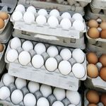 قیمت تخم‌مرغ در فروشگاه و خرده‌فروشی با رقم‌های متفاوت! | قیمت واقعی تخم مرغ مشخص نیست