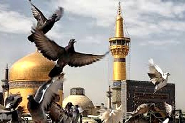 جزئیات برنامه‌های رمضانی حرم امام‌رضا(ع) برای زائران غیرایرانی