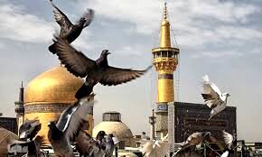 جزئیات برنامه‌های رمضانی حرم امام‌رضا(ع) برای زائران غیرایرانی