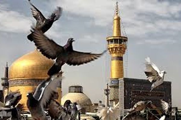 جزئیات برنامه‌های رمضانی حرم امام‌رضا(ع) برای زائران غیرایرانی