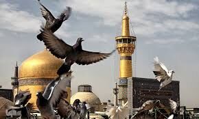 جزئیات برنامه‌های رمضانی حرم امام‌رضا(ع) برای زائران غیرایرانی