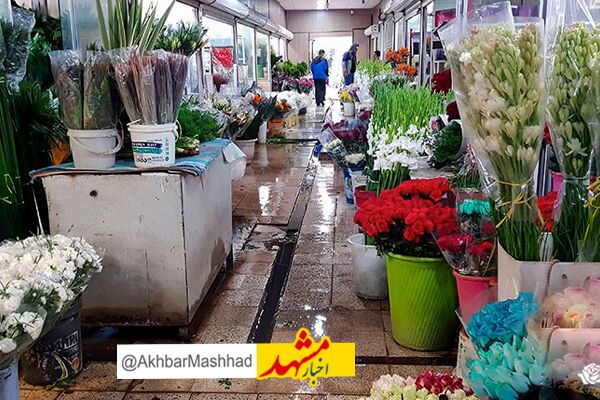 افزایش ۱۵ درصدی قیمت گل/ پیش‌بینی استقبال از بازار گل به مناسبت روز مادر