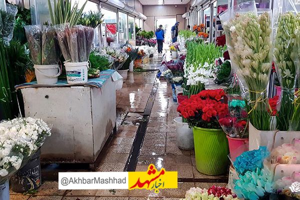 افزایش ۱۵ درصدی قیمت گل/ پیش‌بینی استقبال از بازار گل به مناسبت روز مادر