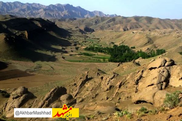 اتصال کامل 110 خانوار ساکن در روستای محروم علی آباد شور به اینترنت پرسرعت