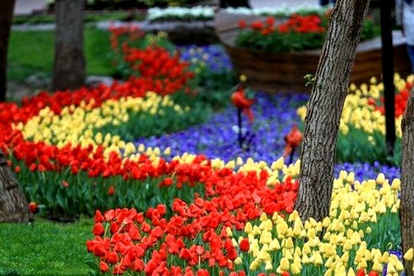 برگزاری جشنواره گل در پیشخان «سلام» پایانه مسافربری امام‌رضا(ع) مشهد برای استقبال از زائران