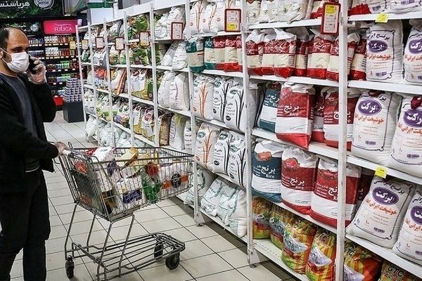 قیمت برنج در روزهای پایانی سال در مشهد (۲۳ اسفند ۱۴۰۴)