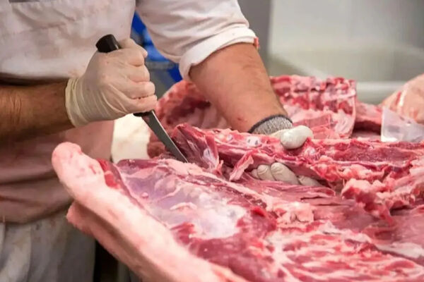 ثبات در بازار گوشت قرمز مشهد