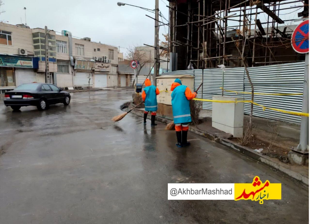 ۳۰ حادثه مرتبط با وزش باد شدید در مشهد رخ داد