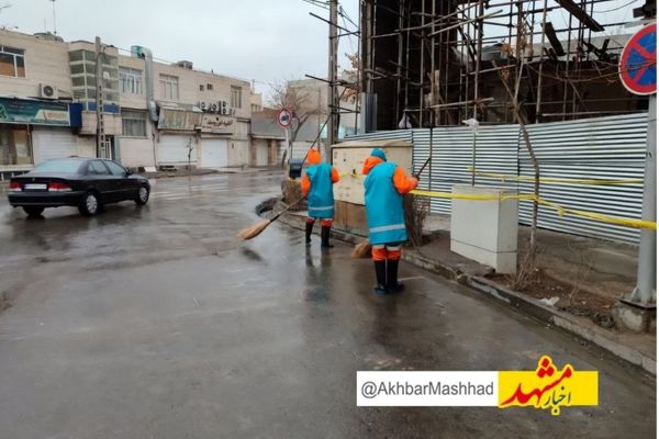 ۳۰ حادثه مرتبط با وزش باد شدید در مشهد رخ داد