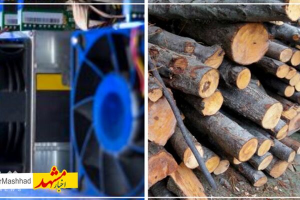 کشف ۲ تن چوب قاچاق و ۲ دستگاه استخراج ارز دیجیتال در تربت‌جام
