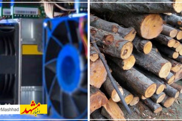 کشف ۲ تن چوب قاچاق و ۲ دستگاه استخراج ارز دیجیتال در تربت‌جام