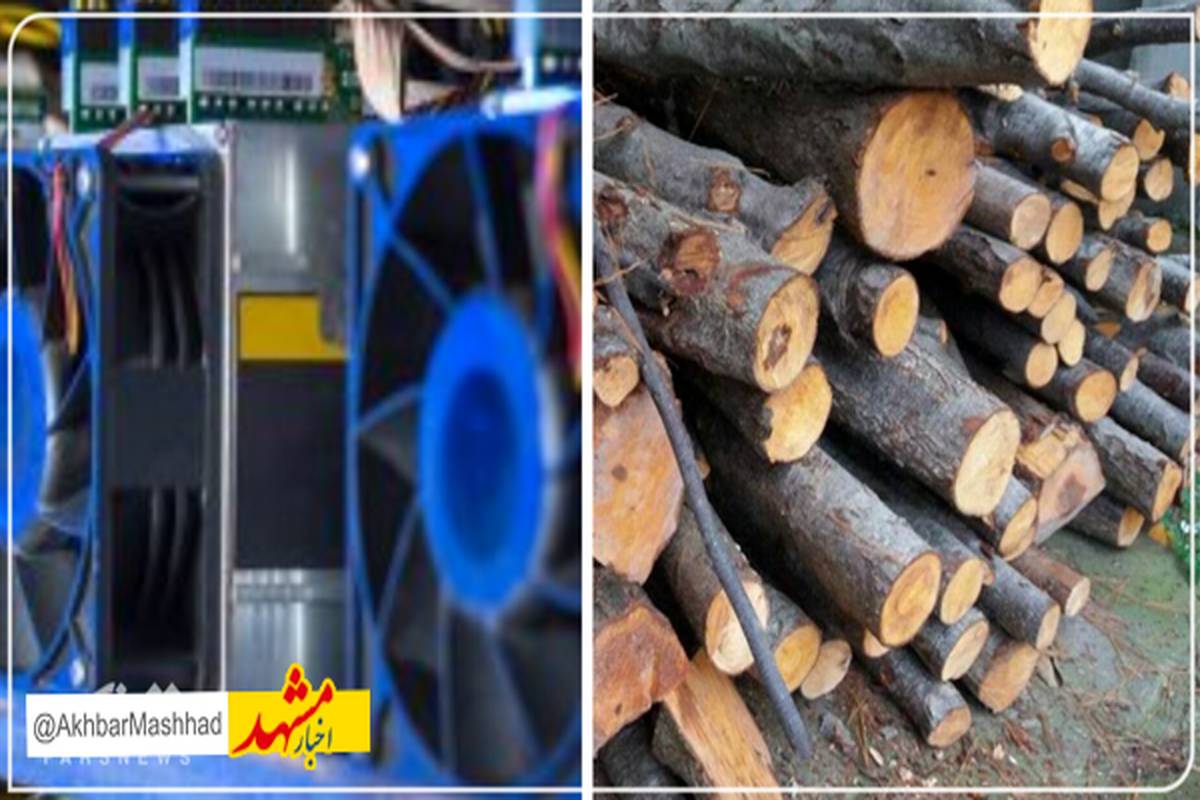 کشف ۲ تن چوب قاچاق و ۲ دستگاه استخراج ارز دیجیتال در تربتجام